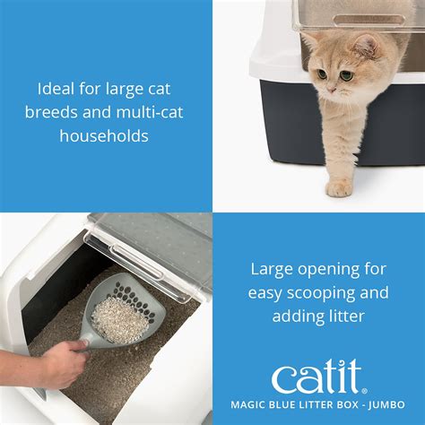 Keep Your Home Fresh with Catit's Magic Blue Cat Litter Tray